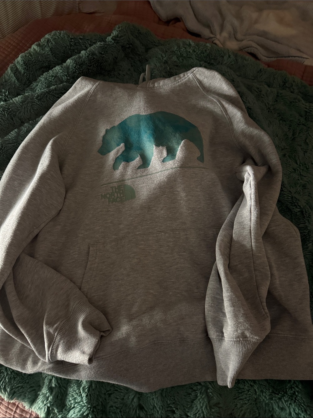 The North Face Heather Gray Crewneck Sweatshirt with Teal-Blue Gradient Bear